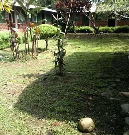 Puerto Misahuallí Cabanas Victoriaホステル エクステリア 写真