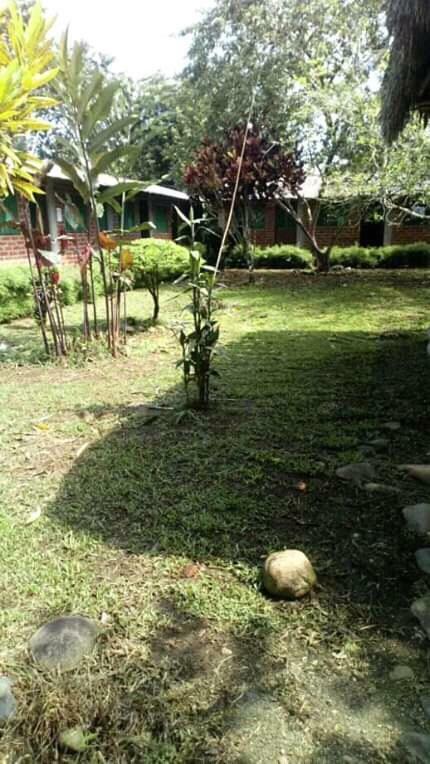 Puerto Misahuallí Cabanas Victoriaホステル エクステリア 写真